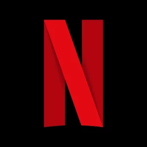 1 ANO DE NETFLIX PARA OS NOIVOS