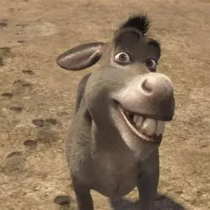 1 PERÍODO INTEIRO DA NOIVA EM COMPLETO SILÊNCIO